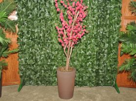 Folhagem flor de Cerejeira c/ cachepô - 2,25 alt