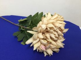 Galho Crisântemo Marrom 