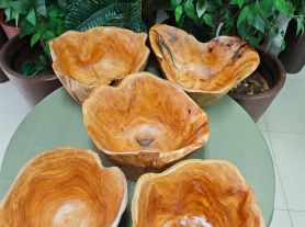 Tronco madeira orgânico fundo +/- 35x39x20cm