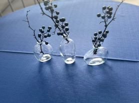 Vaso orgânico vidro 11X9,5